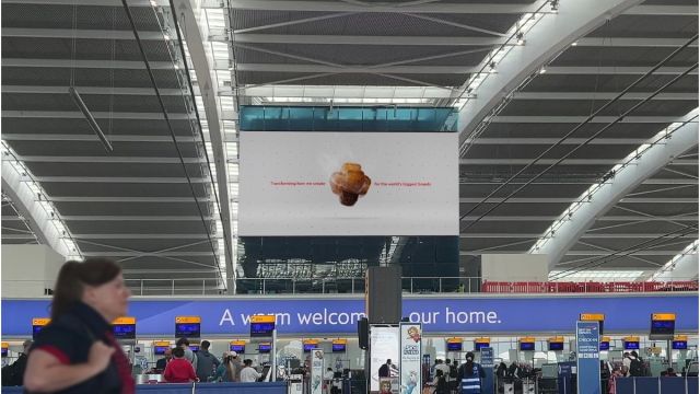 Alt Image Text